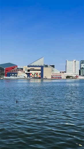 Our 2025 Best in Baltimore award wins wouldn’t be possible without our community and partners working alongside us! To keep spreading the love for this great city, tell us your favorite parts of Baltimore in the comments! 🦀⚓️🎨 | National Aquarium