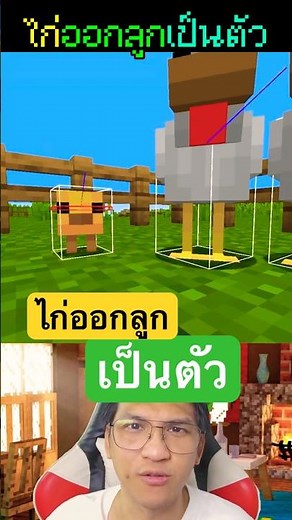 Minecraft Chickens Hatch Chicks