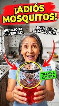 Say goodbye to cockroaches with this invention #insects #tutorial #hack