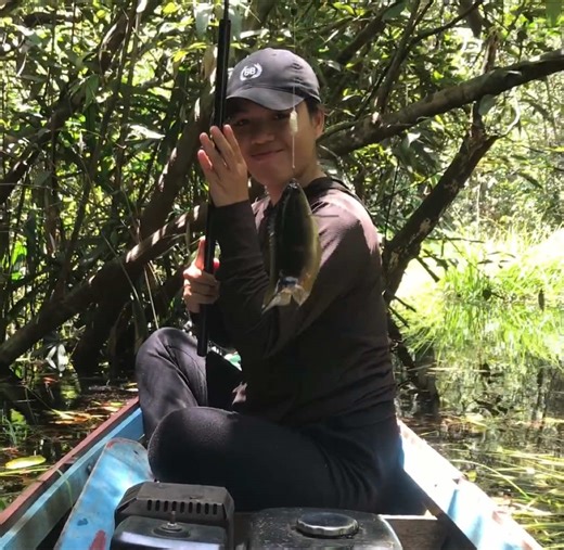 Strike bertubi-tubi ikan kapar kalimantan #fyp #mancing #fishing #ladyangler #baritoselatan #mancingliar #mancingmania #kalimantantengah #kepar #ikankepar