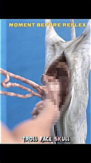 How Animal Guts Became Musical Strings 😮 #trending #zackdfilms