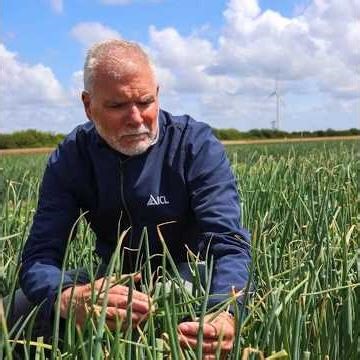 ICL CRF Timer: Precision Fertilizer Management Made Easy