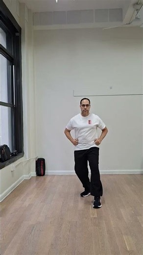 Xingyiquan (形意拳) NYC Training