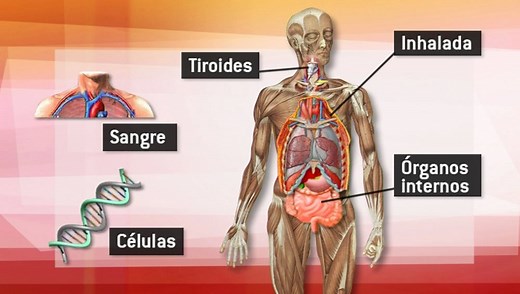 ¿Conocemos los riesgos para la salud de la radiación?