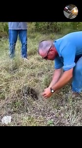 19K views · 108 reactions | Funniest Animal Fails | 퐂퐡퐢퐧퐚퐧퐝퐞퐠퐚 퐓퐨퐝퐚 퐂퐚́퐥퐢퐝퐚 퐝퐞 퐓퐫퐚퐝퐢퐜퐢퐨́퐧 | Facebook