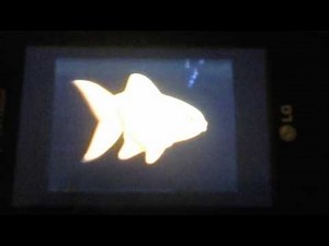 nickelodeon fish bumper paramount dvd