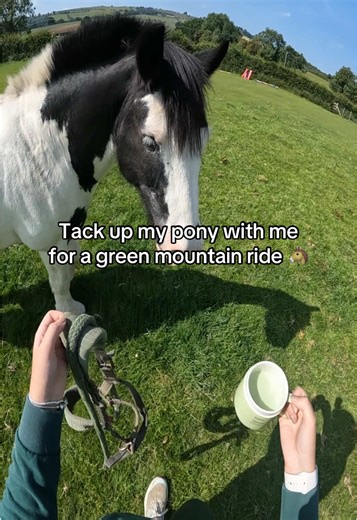 Tack Up My Pony for a Scenic Mountain Ride
