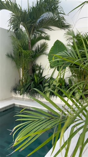 Explore Luxury Bali Living: Stunning Villas and Views