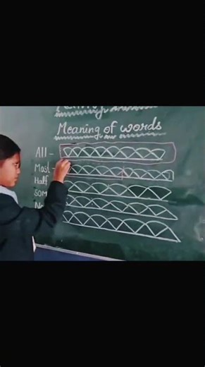 meaning of words BVMS