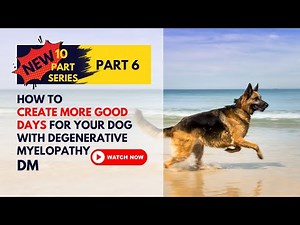 Why Your Dog with Degenerative Myelopathy Has Good & Bad Days (And How to Maximize the Good Ones!)