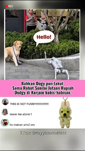 Robot Doggy 😂