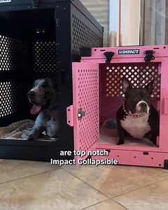 8.9K reactions · 433 shares | Tired of flimsy dog crates that don't last?  Upgrade to an Impact Dog Crate – engineered for durability and security. Shop Now → impactdogcrates.com | Impact Dog Crates | Facebook
