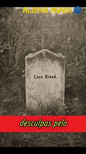 800K views · 16K reactions |  O FANTASMA DO FILHO VOLTOU PARA CASA  #alienamundi #pag_alienamundi #contos #relatos #histórias #sobrenatural #lobisomem #lycan #luacheia #werewolf #história #mistério #relatos #contos #medo #videos #mystery #CapCut #storytelling #scarystories #storytime #foryoupage❤️❤️ #historiasbizarras #fatosreais #viralbrasil #fyphttps://www.instagram.com/aliena_mundi/ https://www.facebook.com/alienamundix/ | Aliena Mundi | Facebook