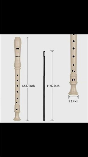 Explore the MUSCELL Recorder!