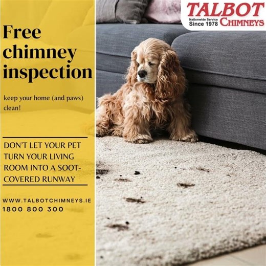 🐾🔥 When You Skip the Chimney Inspection... 🔥🐾😬