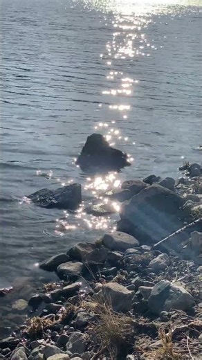 A Quiet Pause — Diamonds on a Lake