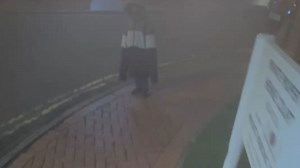 Woman films for fun but accidentally captures bird poop hitting her face