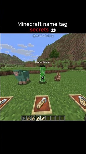 Minecraft Name Tag Secrets 👀 #minecraft