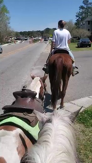 School pick up - Picking up our school kid by horse back riding
