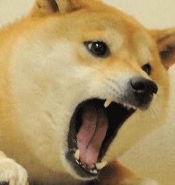 @CoinMarketCap