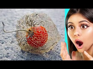 Things That Only Happen Once in a Lifetime