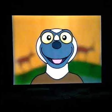 Zoboomafoo the little baby Foal🐴 horse she is a💜Filly