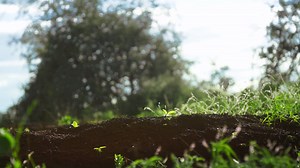 4K views · 74 shares | This commercial is worth turning up the volume: our method to cool down the planet explained in only 25 seconds! #coolingdowntheplanet #justdiggit | Justdiggit | Facebook