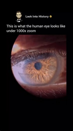 30K views · 243 reactions | At 1000x Magnification, the Human Eye...