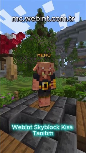 mc.webint.com.tr - skyblock server #minecraft #mc #sunucu