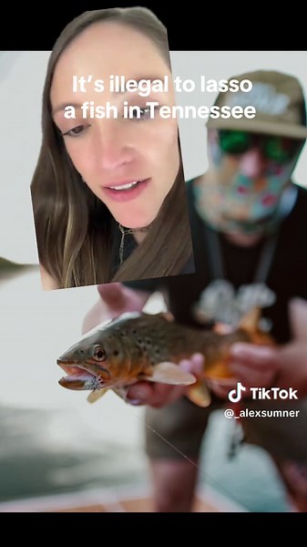Lassoing Fish: Tennessee's Unusual Law Explained