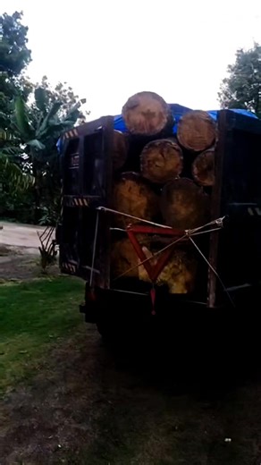 one of the silent treatments, cut off without speaking any more. | Maya