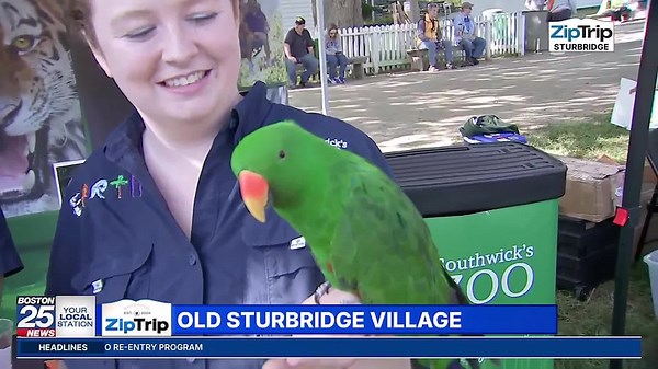 Sturbridge Zip Trip: What's new at Southwick's Zoo?