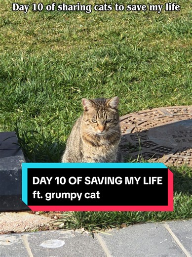 Escaping Corporate Hell: Day 10 Reflection