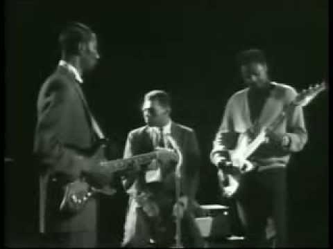 Little Walter, Hound Dog Taylor , Dillard Crume ,Odie Payne ( Walter's Blues Live )