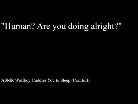 ASMR Wolfboy Cuddles You to Sleep (Comfort)