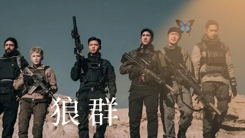 《狼群》张晋×李治廷，激烈枪战热血来袭