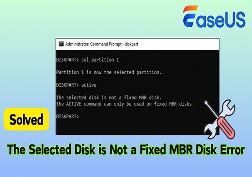 How to Fix The Selected Disk is not a Fixed MBR Disk 🚩