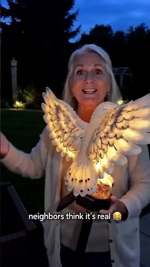 🦉 Turn Your Garden into a Fairy Tale! ✨ Solar Owl Pathway Light 🌸 #gardendecor