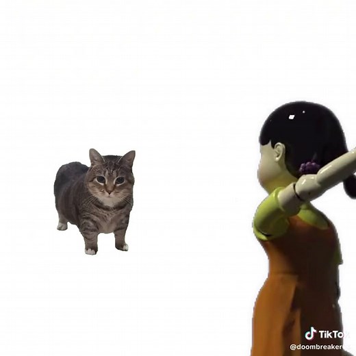 Exploring Squid Game Inspired Cat Videos