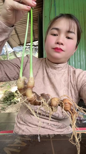 Video của NgaSâmngoclinh;)ko978;101;449 (@nga.sam.ngc.linh) với bản nhạc nhạc nền - NgaSâmngoclinh;)ko978;101;449