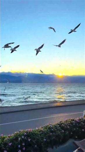 875_0_042-Electric Satin_9