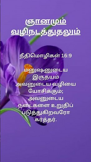 BEST Tamil Bible Verse for DAILY inspiration from Top Pastor