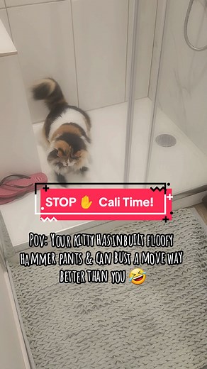 Cali Time: Fluffy Cat Breaks It Down!