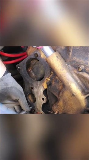 1950 Ford Shoebox Water Pump Swap #shorts
