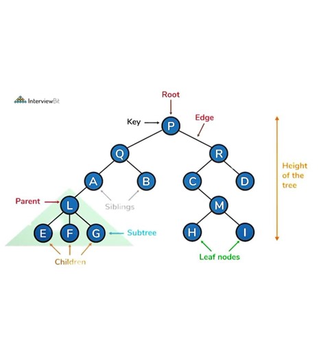 💻Tree Data Structure💻#yt#ytshorts#trending#shortsvideo#shortvideo#treedatastructure#datastructure#yt