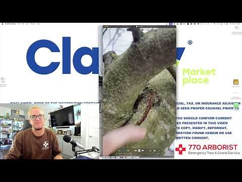 Arborist Talks Pruning Linden Trees!!!