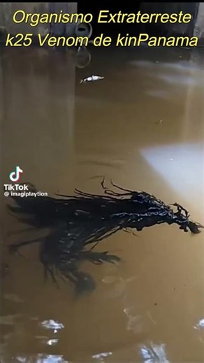 Kin Panama and the Venom K25: Alien creature or hoax? #KinPanama #meteorite case update