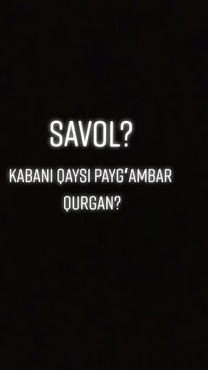 savollar on TikTok