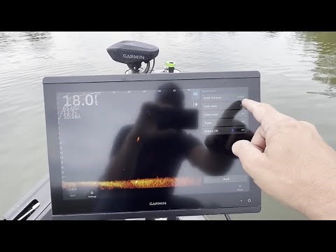 The best settings for Livescope
