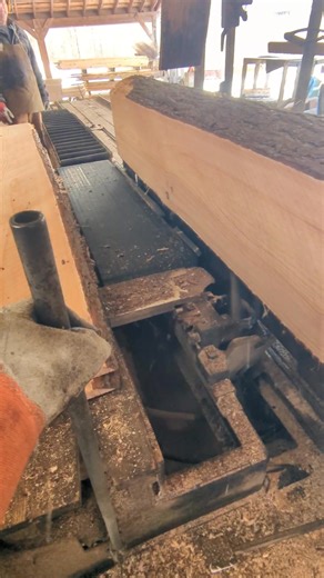 9' 11.5" 🤦🏼🙄 how hard is it to use a tape measure? 🫩🤨 #mooressawmill #familybusiness #killustrateit #woodworking #woodworkingtools #manufacturing #sawmill #historical #circularsawmill #fblifestylechallenge #viralreelschallenge #StarsEverywhere | Moore's Sawmill